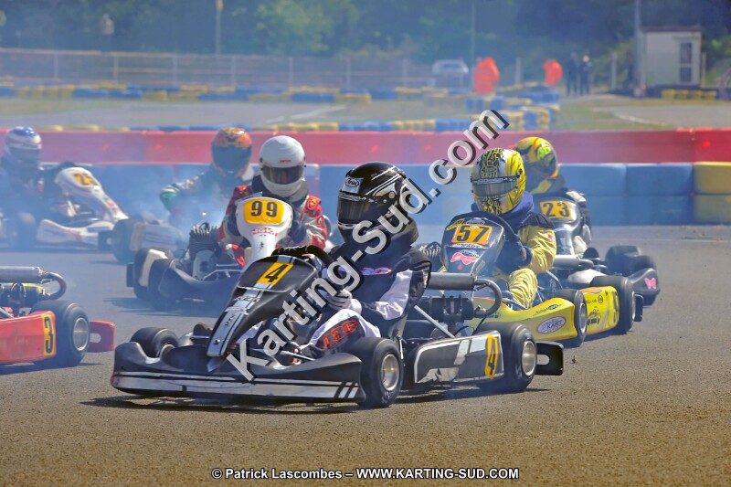 DSC_ (1335).jpg
